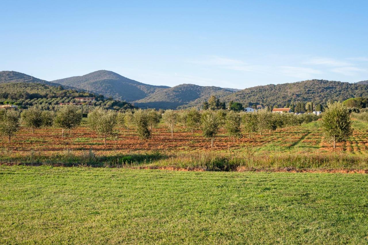 Agriturismo Terre Di Castiglione Кастильоне дела Пеская Екстериор снимка