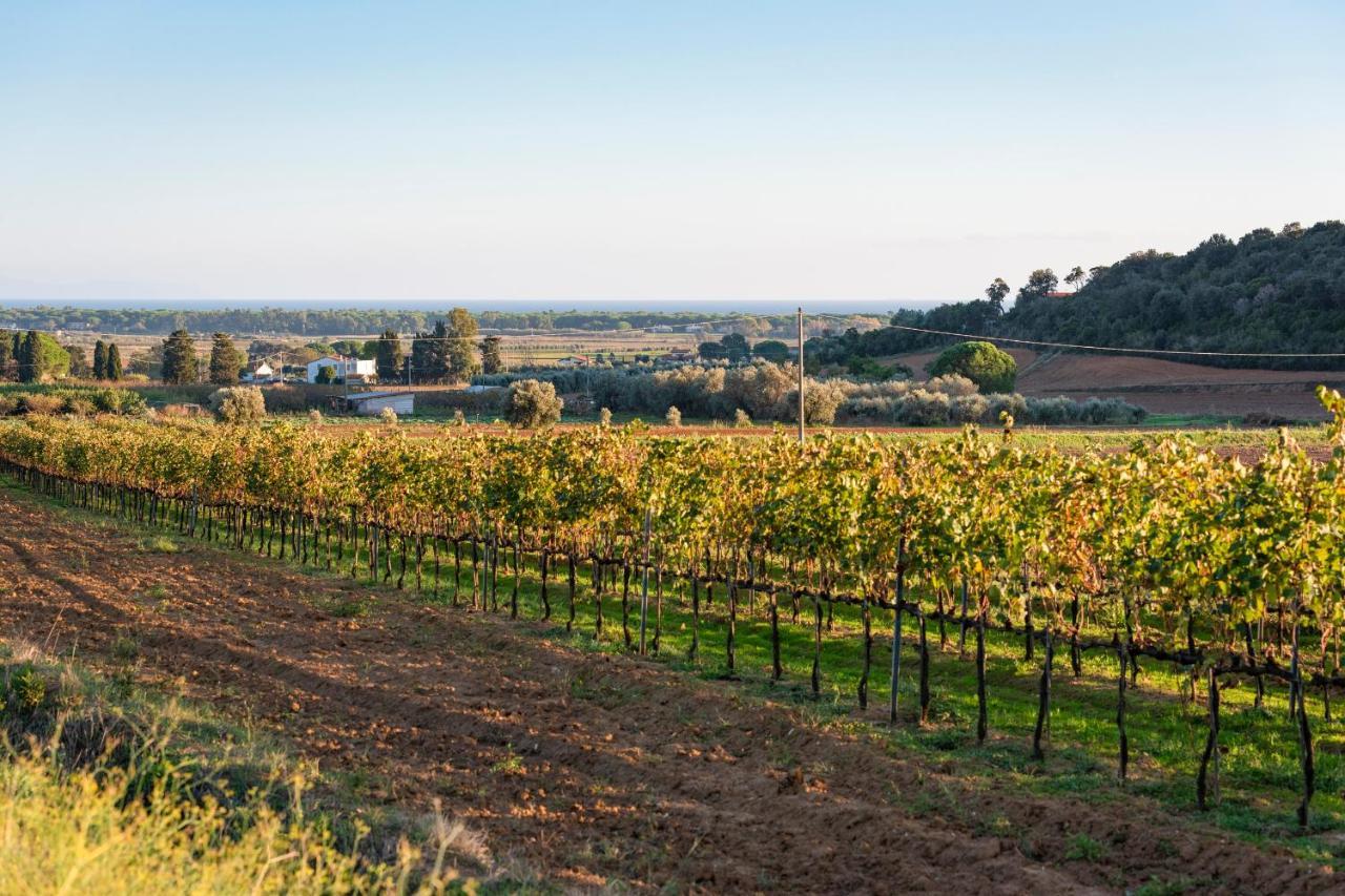 Agriturismo Terre Di Castiglione Кастильоне дела Пеская Екстериор снимка