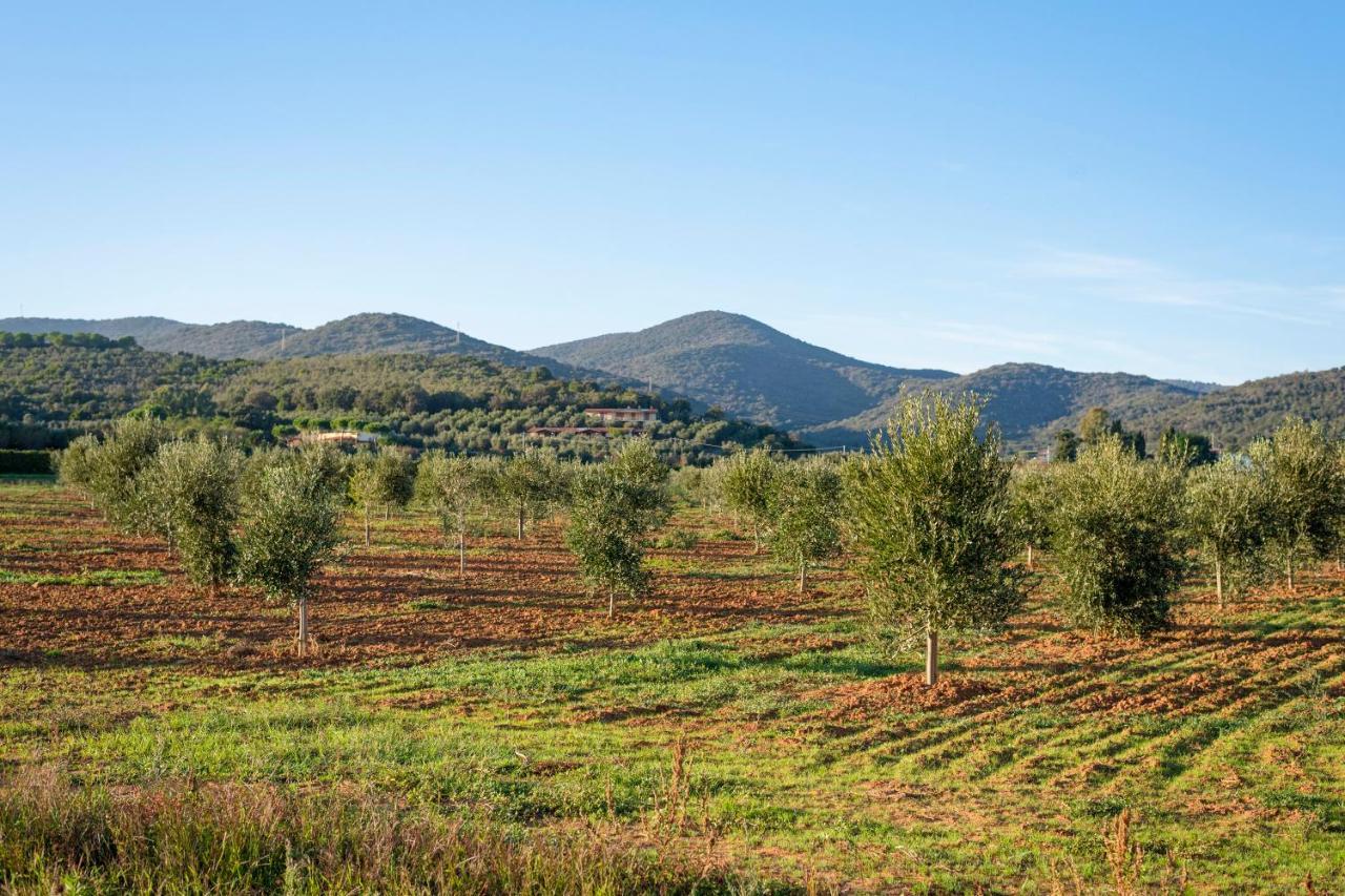 Agriturismo Terre Di Castiglione Кастильоне дела Пеская Екстериор снимка