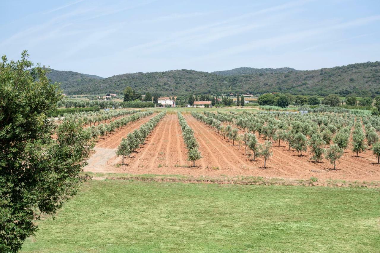 Agriturismo Terre Di Castiglione Кастильоне дела Пеская Екстериор снимка